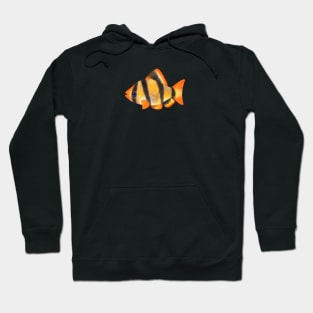 Tiger Barb Fish Hoodie